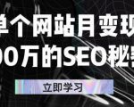 单个网站月变现100万的SEO秘密，百分百做出赚钱站点-小牛学府