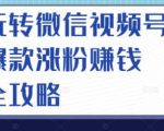 玩转微信视频号爆款涨粉赚钱全攻略，让你快速抓住流量风口，收获红利财富-小牛学府