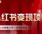 渣圈学苑·小红书虚拟资源变现项目,一起捞钱掘金价值1099元-小牛学府
