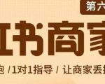 贾真-小红书商家营第6期商家版,21天带货陪跑课,让商家丢掉付流量-小牛学府
