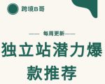【跨境B哥】独立站潜力爆款选品推荐,测款出单率高达百分之80-小牛学府