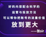 张sir账号流量增长课,告别海王流量,让你的流量更精准-小牛学府