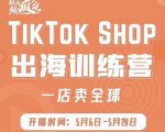 疯人院:TikTok Shop出海训练营(一店卖全球),出海抢占全球新流量-小牛学府
