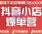 推易电商·2022年抖音小店爆单营，不直播、不拍短视频、日出1000单，暴力玩法-小牛学府