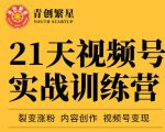 张萌21天视频号实战训练营,裂变涨粉、内容创作、视频号变现 价值298元-小牛学府