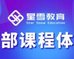 星雪教育淘系高级班，更全的运营提升方案，零基础由浅入深，店铺最新玩法-小牛学府