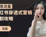 苏歆：小红书穿透式营销收割攻略，引爆流量，助你玩转小红书-小牛学府