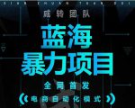 引流哥蓝海暴力躺赚项目：无需发圈无需引流无需售后，每单赚50-500（教程+线报群)-小牛学府
