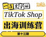 TikTokShop出海训练营（第十三期），打开全球流量新思维，出海抢占全球新流量，一店卖全球-小牛学府