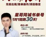 星哥同城教育书单号课程,无需出境简单操作项目稳定-小牛学府