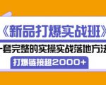 凌童《新品打爆实战班》,一套完整的实操实战落地方法,打爆链接超2000+(28节课)-小牛学府