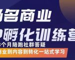 杨名商业IP孵化训练营，从商业到内容到转化一站式学 价值5980元-小牛学府