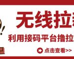 最新接码无限拉新项目，利用接码平台赚拉新平台差价，轻松日赚500+-小牛学府