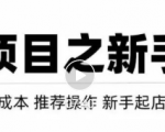 虚拟项目快速起店模式，0成本打造月入几万虚拟店铺！-小牛学府