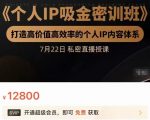 个人IP吸金密训班,打造高价值高效率的个人IP内容体系(价值12800元)-小牛学府