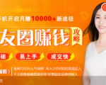 全网千万人气导师亲授:零基础/易上手的朋友圈赚钱攻略,让你轻松月入过万-小牛学府