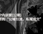 新媒体IP内训营(12期)，一套全新的“公域引流，私域成交”IP打法，直接带走-小牛学府