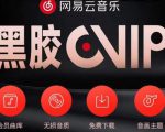 网易云音乐撸黑胶年卡及变现方法，收益可无限放大-小牛学府