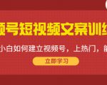 视频号短视频文案训练营：0基础小白如何建立视频号，上热门，能卖货！-小牛学府