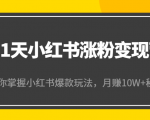 21天小红书涨粉变现营（第4期）：带你掌握小红书爆款玩法，月赚10W+秘密-小牛学府