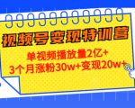 21天视频号变现特训营：单视频播放量2亿+3个月涨粉30w+变现20w+（第14期）-小牛学府