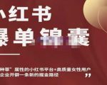 小红书爆单锦囊,自带种草属性+高质量女性用户,为你的企业开辟一条新的掘金路径-小牛学府