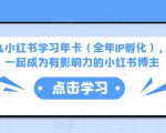 厦九九小红书学习年卡(全年IP孵化),沉浸式学习,一起成为有影响力的小红书博主-小牛学府