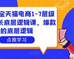大圣淘宝天猫电商1-7层级盈利增长底层逻辑课,爆款的底层逻辑-小牛学府
