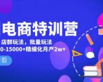 美团电商特训营:美团·店群玩法,无脑铺货月产出6000-15000+精细化月产2w+-小牛学府