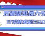 豆瓣精准暴力引流,日引精准粉500+【12课时】-小牛学府