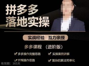 拼多多实战篇·落地实操：多多操作完整思路+实操案例讲解+拆解操作思路+复杂的算法简单化-小牛学府