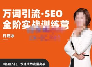 许茹冰·万词引流-SEO全阶实战训练营，0基础入门，快速成为流量高手-小牛学府