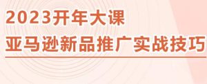 2023亚马逊新品推广实战技巧，线下百万美金课程的精简版，简单粗暴可复制，实操性强的推广手段-小牛学府
