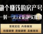 刘广标·同城房产号线上陪跑课,拍摄、剪辑、写文案、直播,做一个具有潜力价值的房产号-小牛学府