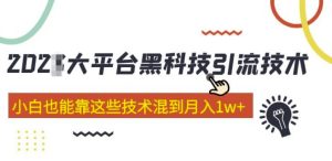 大平台黑科技引流技术，小白也能靠这些技术混到月入1w+(2022年的课程）-小牛学府