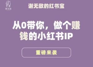 谢无敌·小红书运营大宝典，从0带你做个赚钱的小红书IP-小牛学府