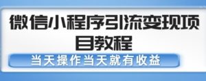 微信小程序引流变现项目教程，当天操作当天就有收益，变现不再是难事-小牛学府