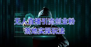 外面收费3980的无人直播引流创业粉落地实操玩法,单日引100+精准创业粉-小牛学府