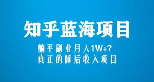 知乎蓝海玩法,躺平副业月入1W+,真正的睡后收入项目(6节视频课)-小牛学府