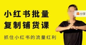 张宾·小红书批量复制铺货课，小红书0-1快速起号变现玩法，抓住小红书的流量红利（更新2023年3月）-小牛学府
