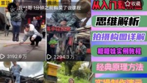 东方糖糖妹抖音短视频全套实战课思维+拍摄+剪辑+运营,从入门到精通-小牛学府