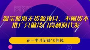 淘宝蓝海无货源项目,不囤货不推广只做冷门高利润代发,花一半时间赚10倍钱-小牛学府