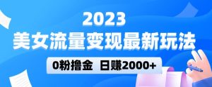 2023美女流量变现最新玩法，0粉撸金，日赚2000+，实测日引流300+-小牛学府