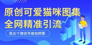 黑科技纯原创可爱猫咪图片，全网精准引流，实操5个VX号被加频繁-小牛学府