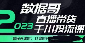 数据哥2023直播电商巨量千川付费投流实操课，快速掌握直播带货运营投放策略-小牛学府