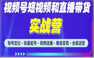 2023最新微信视频号引流和变现全套运营实战课程，小白也能玩转视频号短视频和直播运营-小牛学府