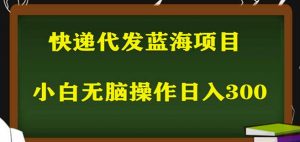 2023最新蓝海快递代发项目，小白零成本照抄也能日入300+-小牛学府
