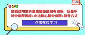 峰教练电商抖音直播投流起号课程：巨量千川全流程投放+小店随心推全流程+起号方式-小牛学府
