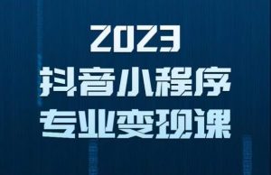 2023年抖音小程序变现保姆级教程，0粉丝新号，无需实名，3天起号，第1条视频就有收入-小牛学府