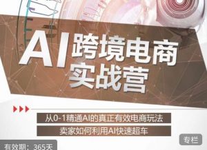 白龙老师·AI跨境电商实战营：从0-1精通Al的真正有效电商玩法，卖家如何利用Al快速超车-小牛学府